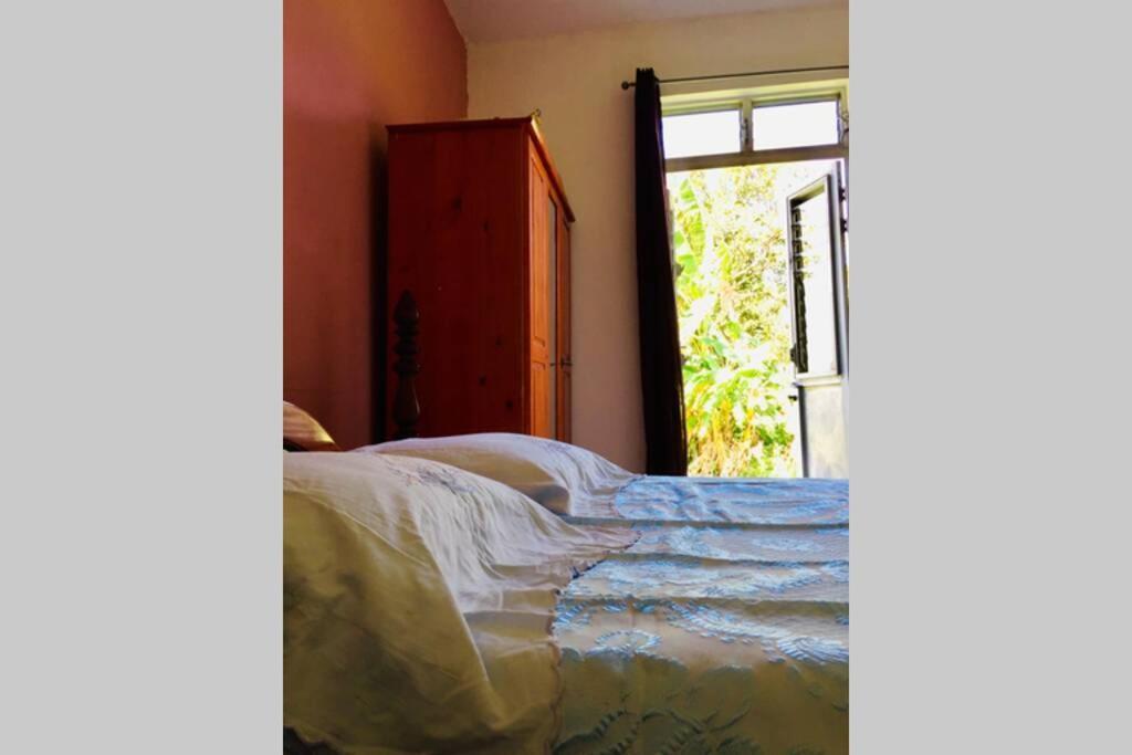Logement En Pleine Verdure Tropicale -10 Min Plage Le Morne-Rouge Zewnętrze zdjęcie