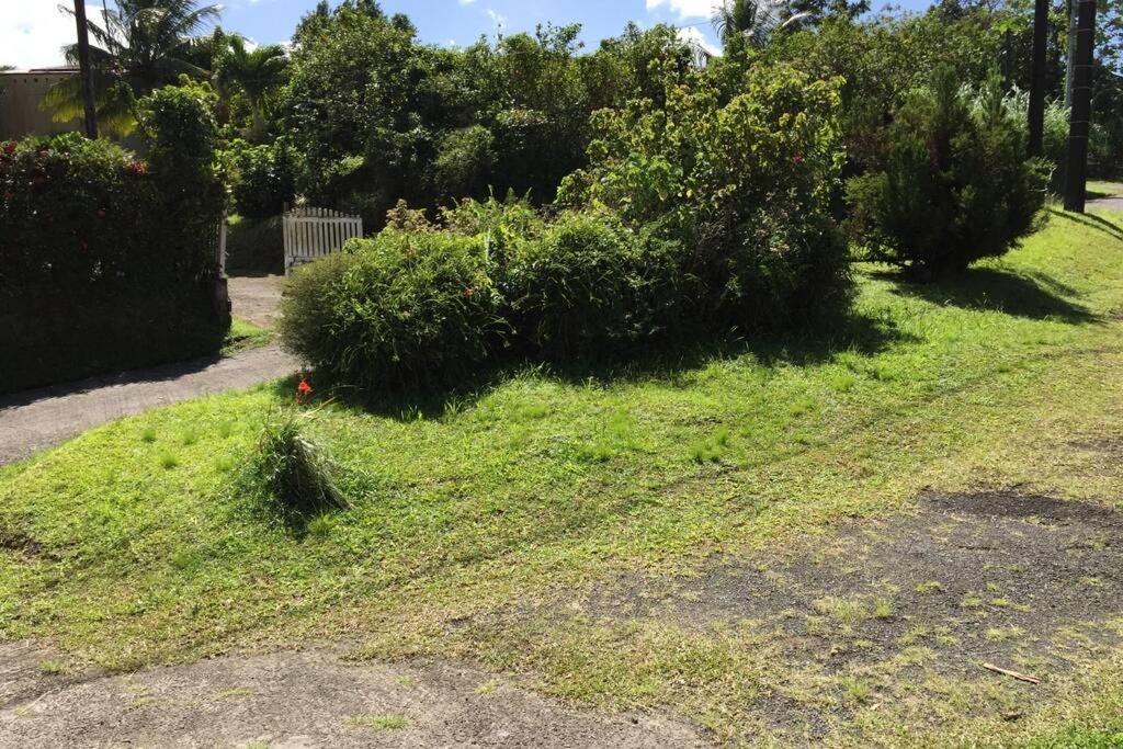 Logement En Pleine Verdure Tropicale -10 Min Plage Le Morne-Rouge Zewnętrze zdjęcie